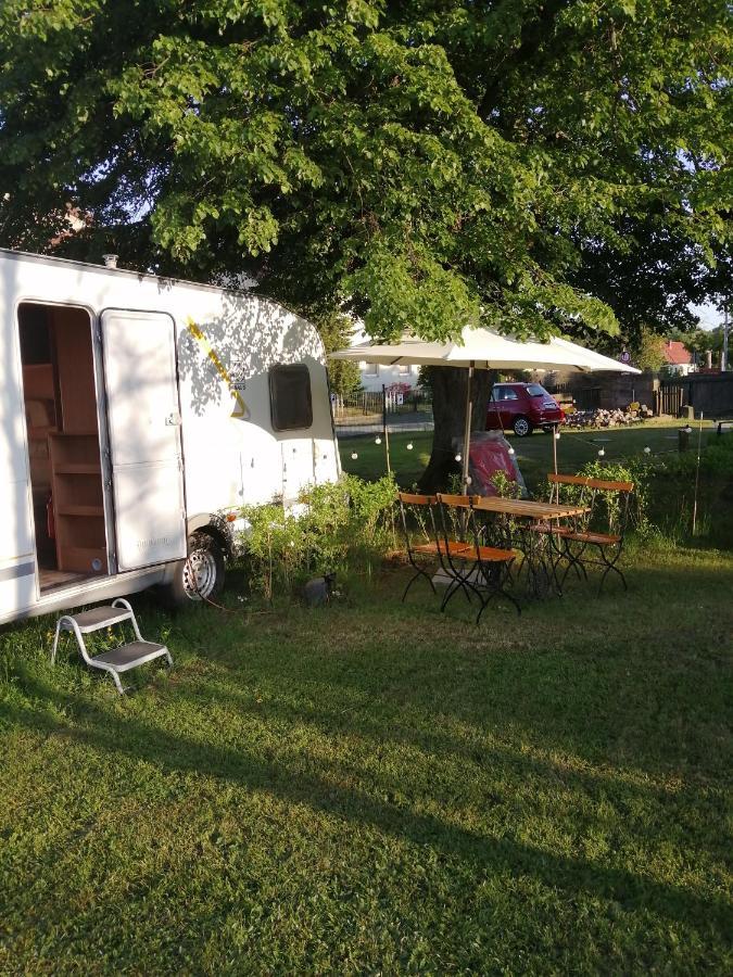 "Campingplatz Altjessen 57" Pirna Dış mekan fotoğraf